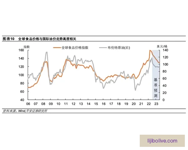 斯温登俱乐部最新动态全面解析及赛季展望深度报道